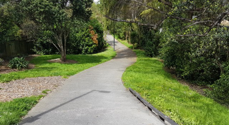 Grey Lynn to Pt Erin Path - Path through Hakanoa Reserve.