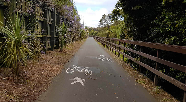 Grey Lynn to Waterview Path - Path alongside the North Western Motorway.
