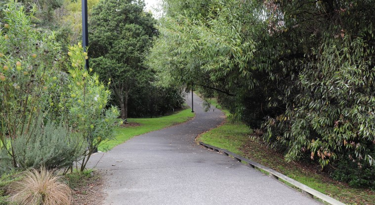 Grey Lynn Urban Ngahere Path – Section of the path through Hakanoa Reserve.