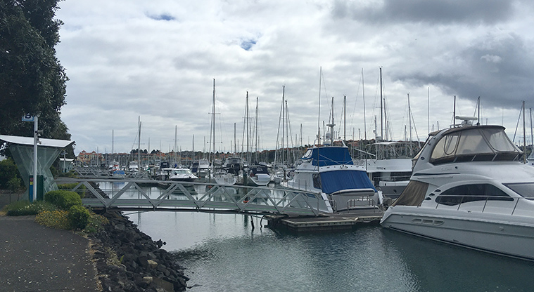 Gulf Harbour Path – Start at Gulf Harbour Marina.