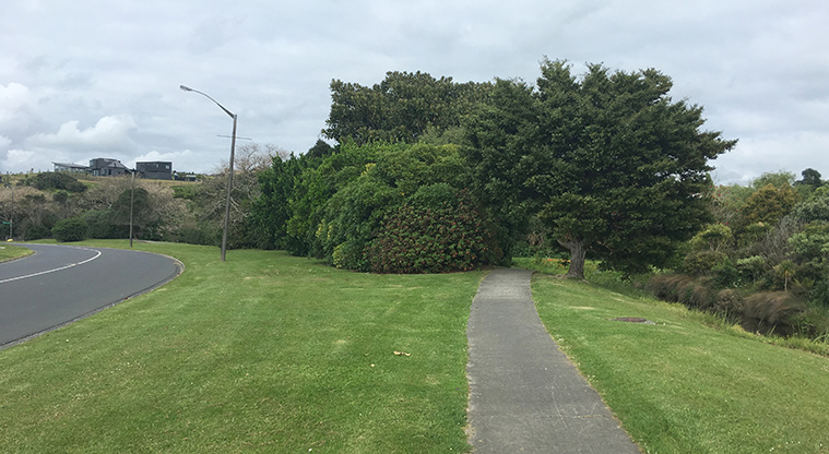 Gulf Harbour Path – Follow the footpath towards Gulf Harbour.