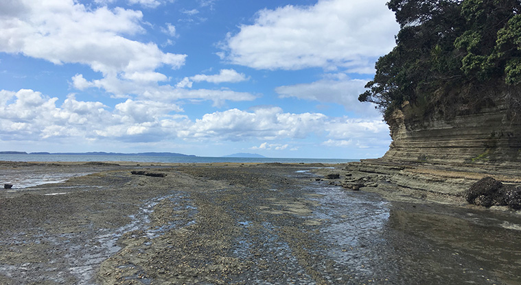 Gulf Harbour Path – Views looking north.