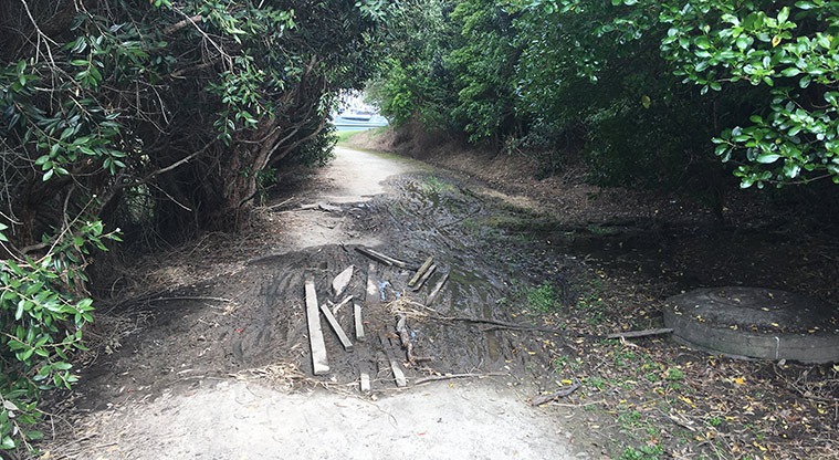 Gulf Harbour Marina Path - Navigate the muddy section