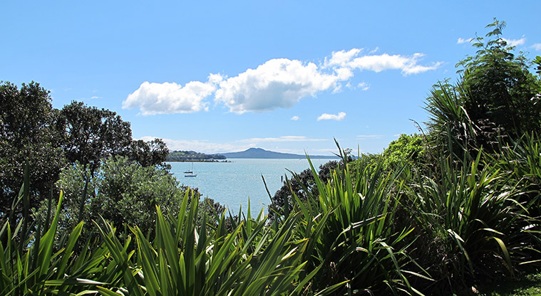 Half Moon Bay to Wakaaranga Creek Path – Great views along the way.