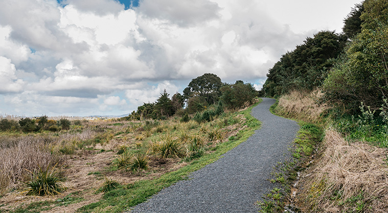 Harbourview - Orangihina Path - One of the short inclines on the path.