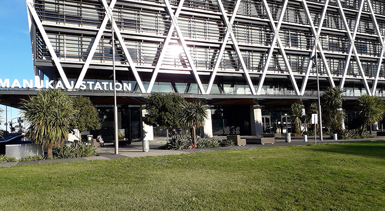 Hayman Park Path - Manukau Station.