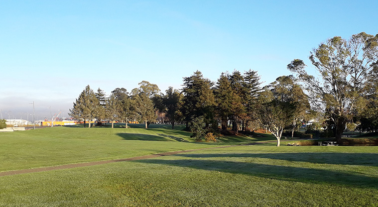 Hayman Park Path - Hayman Park viewed from Davies Avenue.