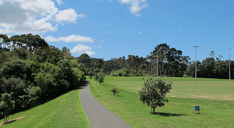 Hellyers Creek Path - Path leading to start of the bush section of the walk.