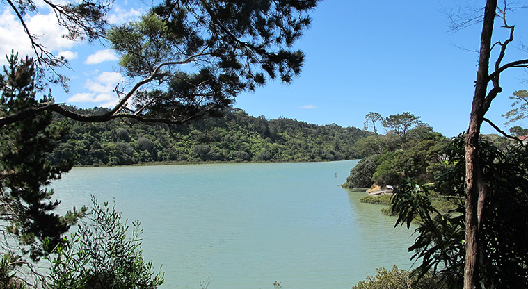 Hellyers Creek Path - Views all along over Hellyers Creek.
