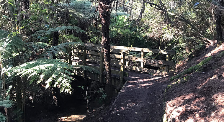 Hellyers Creek Path - Bridge over stream.