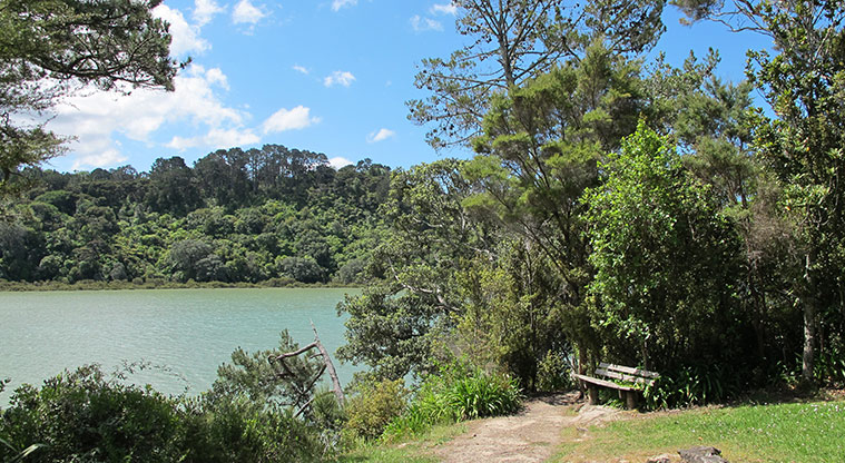Hellyers Creek Path - Seating to enjoy the views.