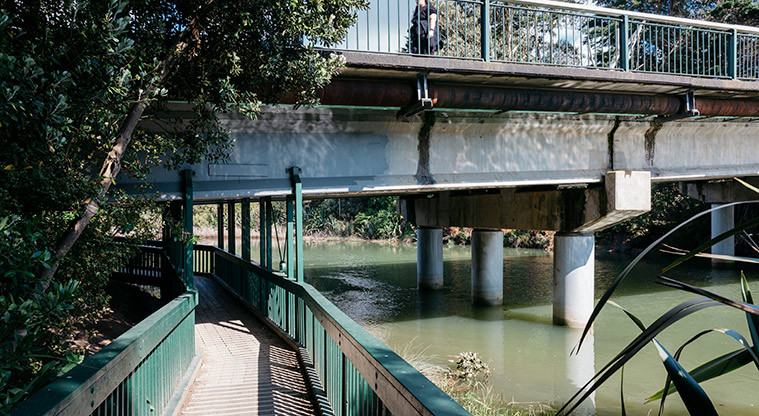 Henderson Creek Path - Bridge crossing the Oratia Stream.