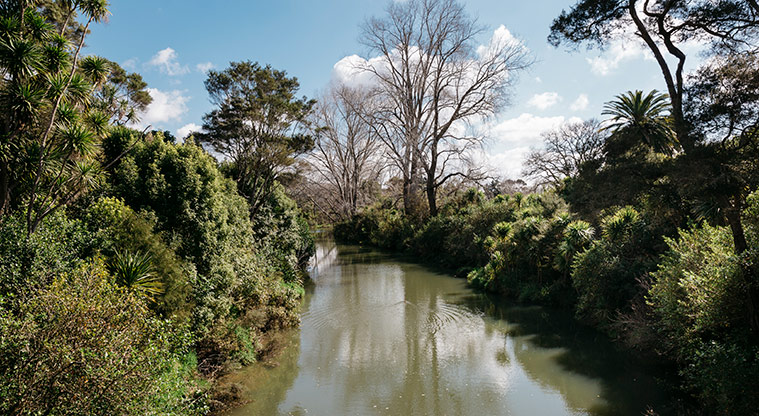 Henderson Creek Path - Path below the rail line.