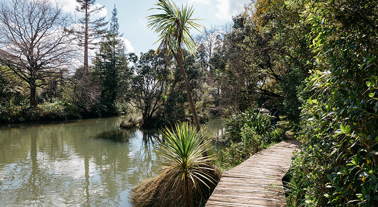 Henderson Creek Path - Oratia Stream – glimpses along the way.