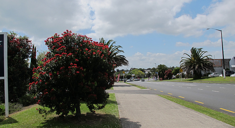 Henderson Loop Path - Shared path alongside Central Park Drive.