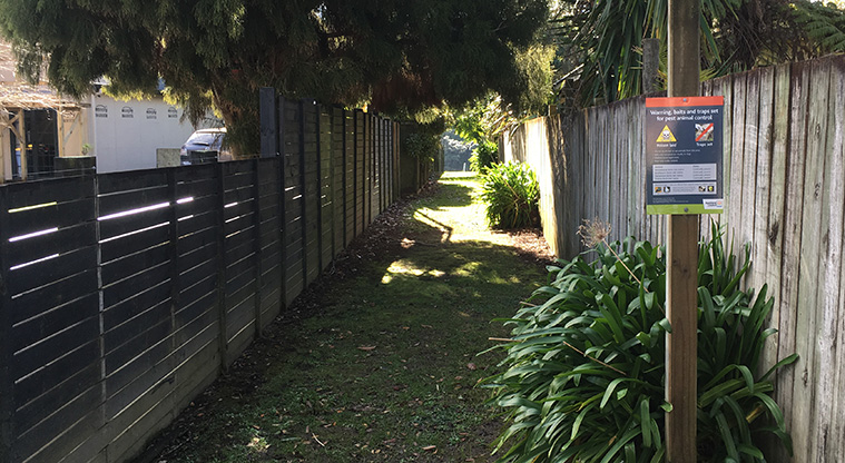 Herald Island Path - A typical access way on Herald Island.