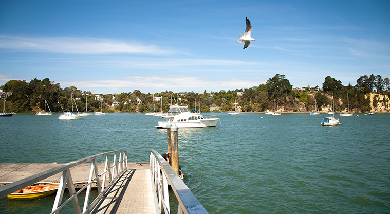 Herald Island Path - View from the waterfront below Pahiki Reserve.