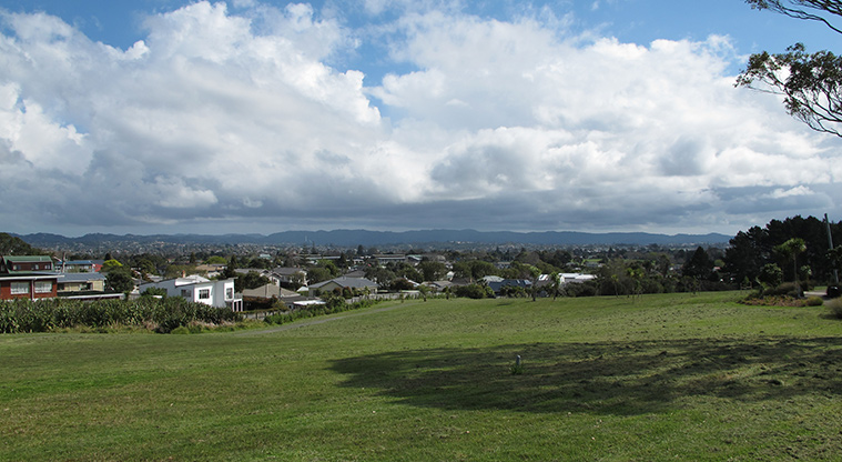 Heron Park Path - Lots of grass area for a kick around or flying a kite.