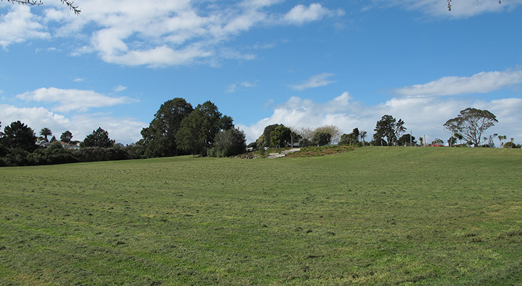 Heron Park Path - Dog exercise space.