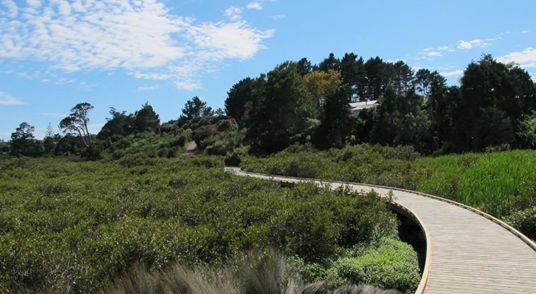 Heron Park Path - Boardwalk access from Holly Street.