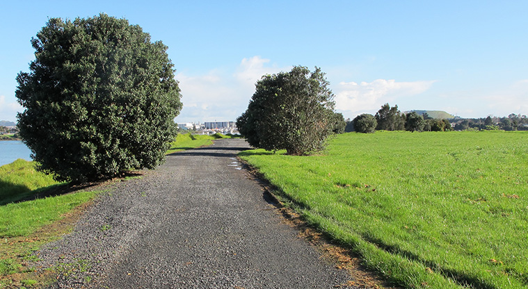 Highbrook Path - The gravel path is even and flat.