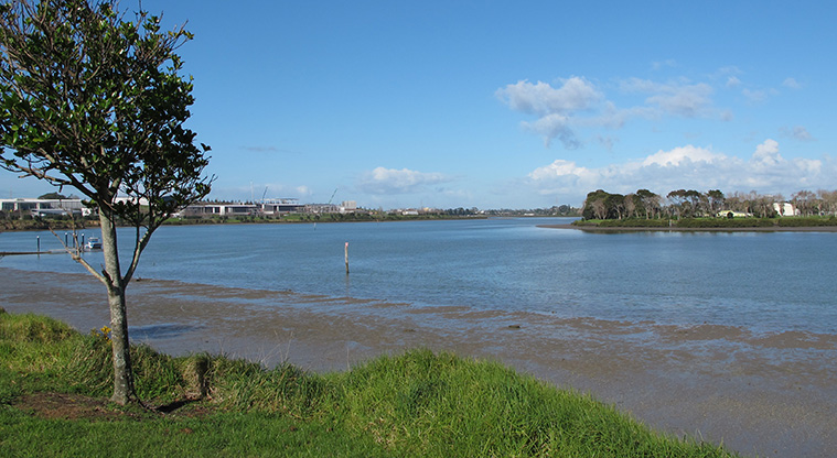 Highbrook Path - Views of the Tāmaki River.