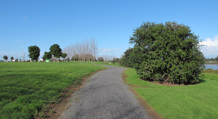 Highbrook Path - Path section near the crossing signals on Highbrook Drive.