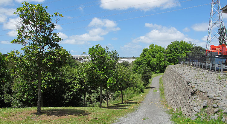 Highbrook South Path - Slight downhill section (uphill on return).