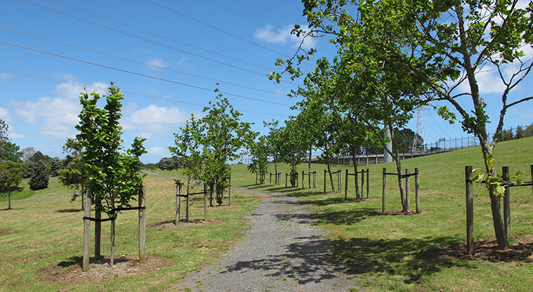 Highbrook South Path - Typical section of the path.