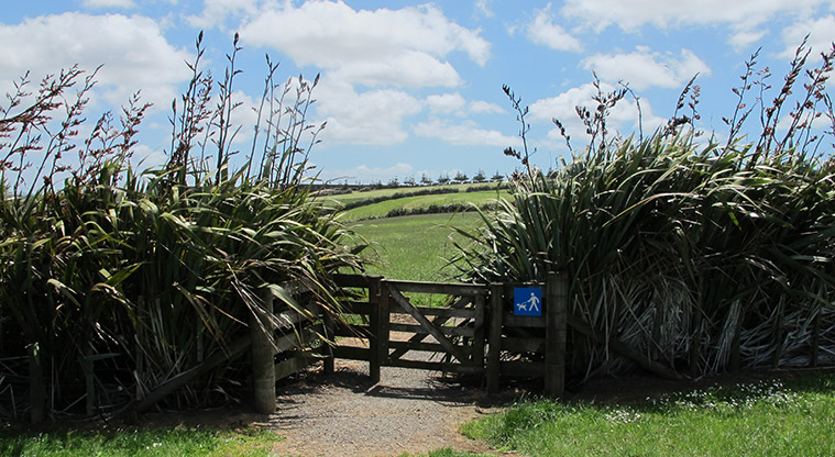 Highbrook South Path - Head through the gate.