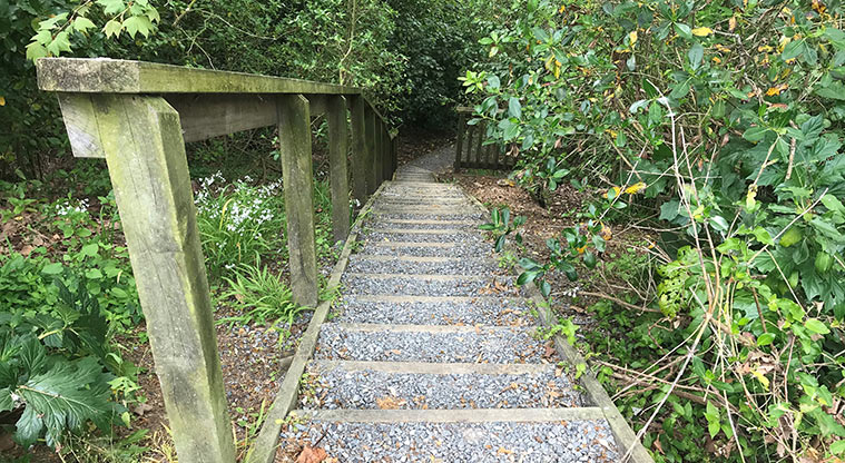 Hobson Bay West Path - Steps down from Brighton Road.