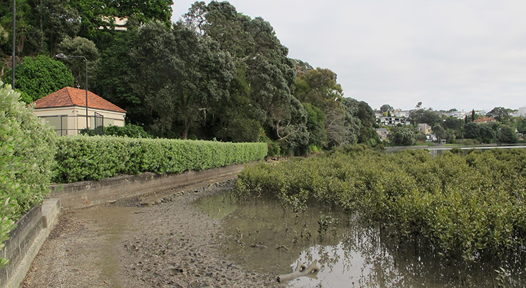 Hobson Bay West Path - Skirt around the edge of the water.