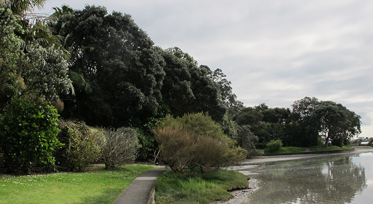 Hobson Bay West Path - Sealed section of the path.