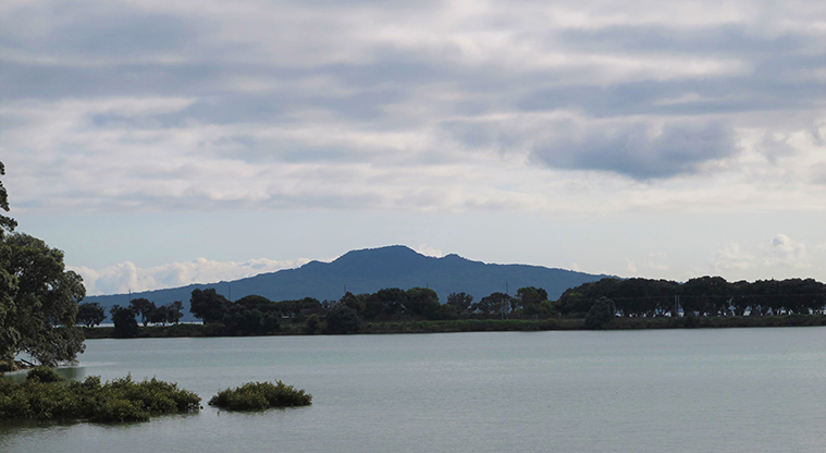 Hobson Bay West Path - Views to Rangitoto.
