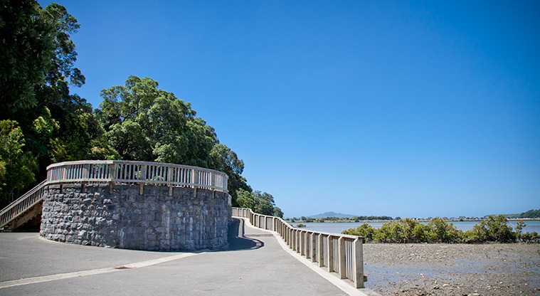 Hobson Bay West Path - Great views from this viewing platform.