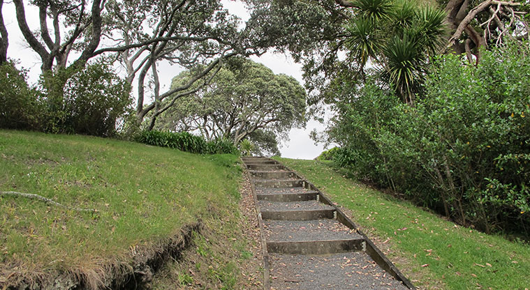 Hobson Bay West Path - Path through Awatea Reserve.