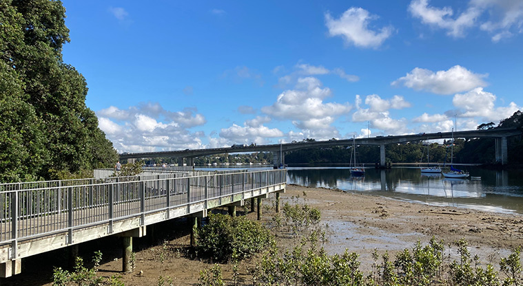 Hobsonville Point Path – The boardwalk curves around the water’s edge, through the manawa (mangroves).