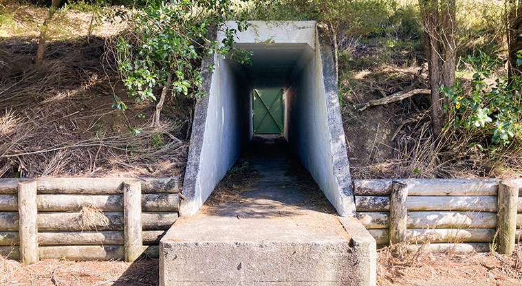 Hobsonville Point Path – Explore the bunkers around Onekiritea Point (Bomb Point).