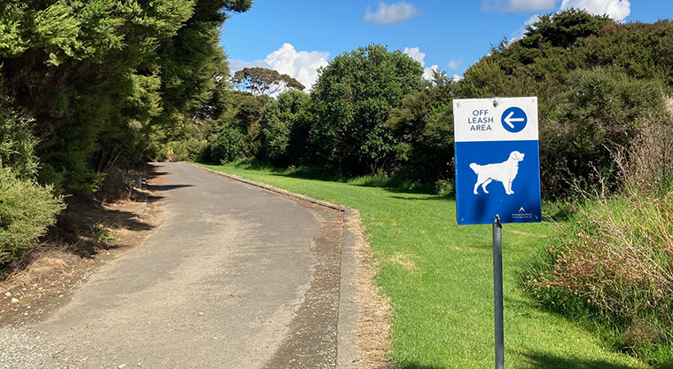 Hobsonville Point Path – There is an off-leash dog walking area not too far from the wharf.