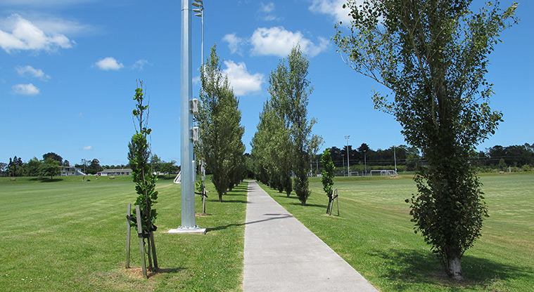 Huapai Reserve Path - Central path connecting to public toilet and second playground