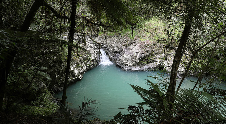Hūnua Cossey Dam Path - Tranquil stream sections.
