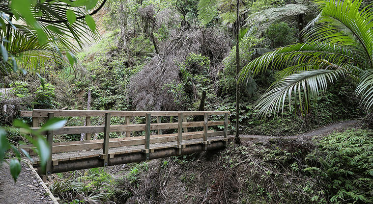 Hūnua Cossey Dam Path - Crossing the stream over a bridge.