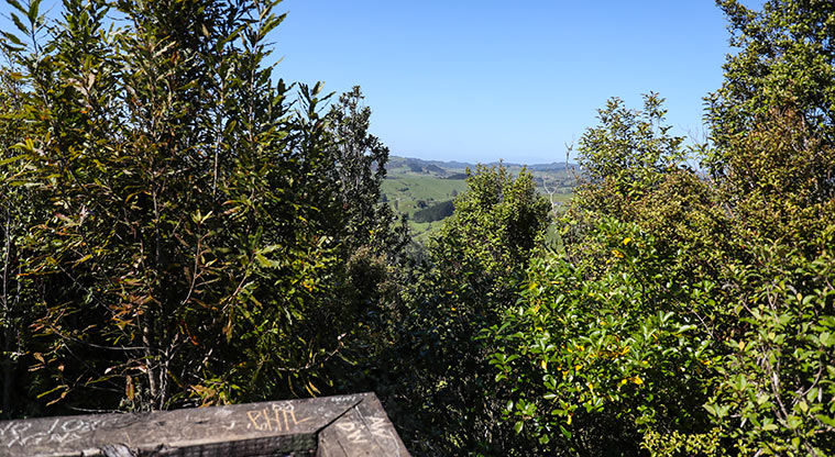 Hūnua Suspension Bridge Path - View from first lookout point.