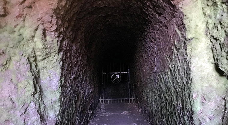 Iona Mine Path -  You can enter a little way into the audit (mine shaft).
