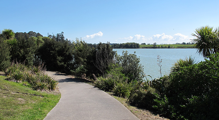 Karaka Path - A typical section of path along the Manukau Harbour.