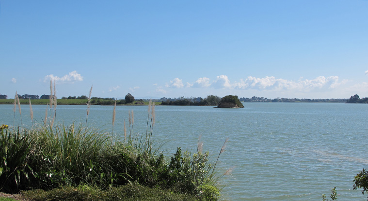 Karaka Path - A view of the Manukau Harbour.