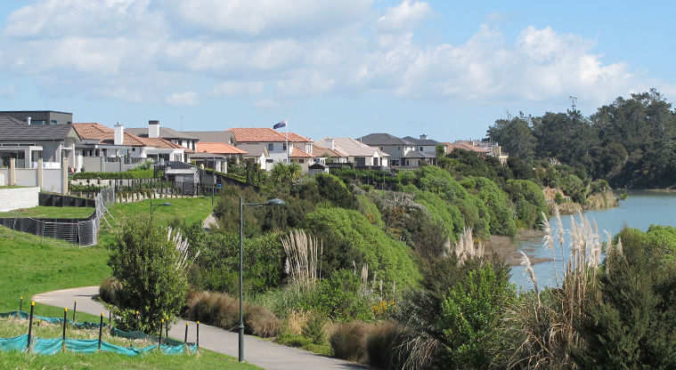 Karaka Path - A view of the path with a few inclines.