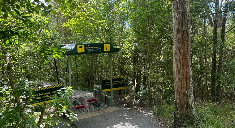 Kauri Glen Path - Always clean your shoes to help prevent the spread of kauri dieback.