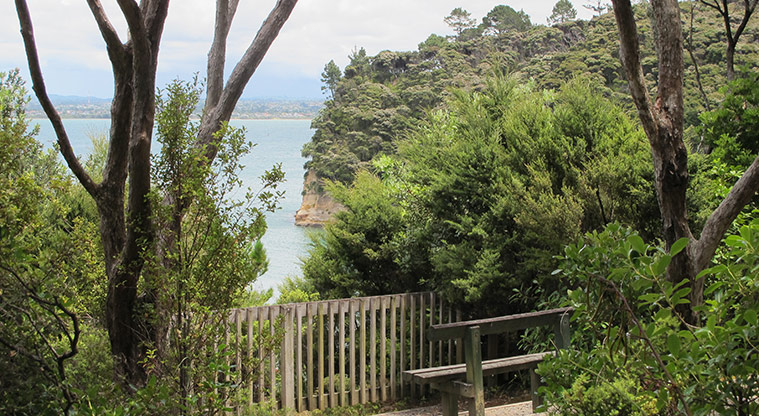 Kauri Point Centennial Path - Lookout point over Waitematā Harbour