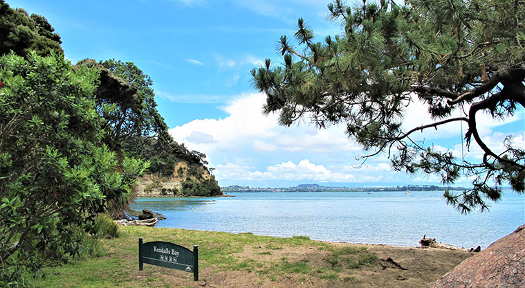 Kauri Point Centennial Path - Kendalls Bay.